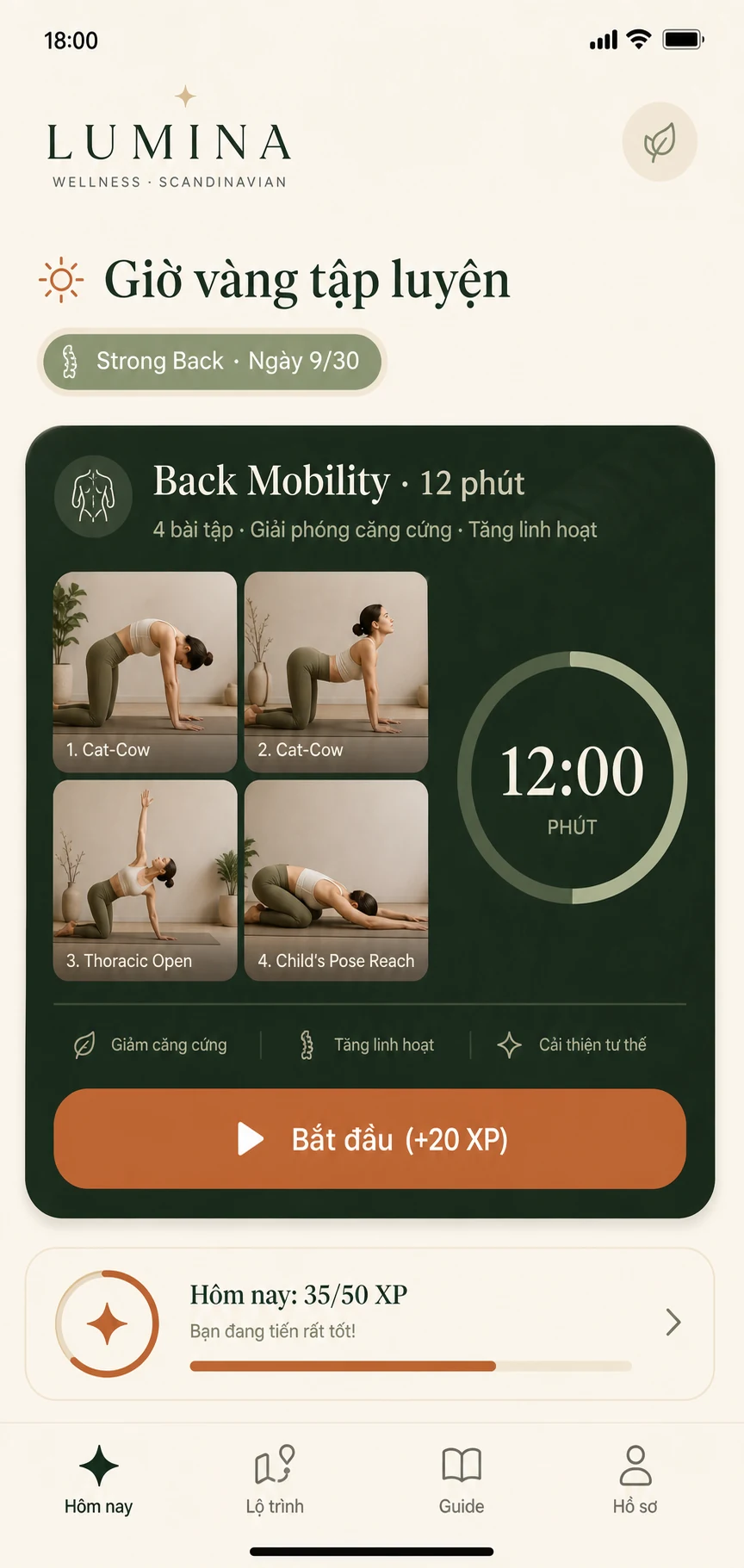 18:00 Chiều — Giờ vàng tập luyện: Back Mobility 12 phút